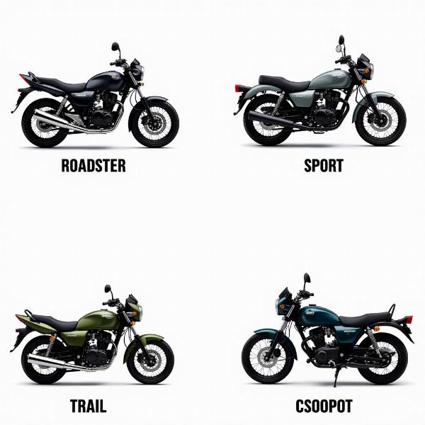 Différents types de motos 125cc