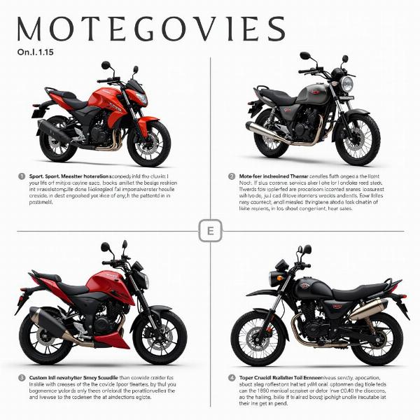 Différents types de motos neuves