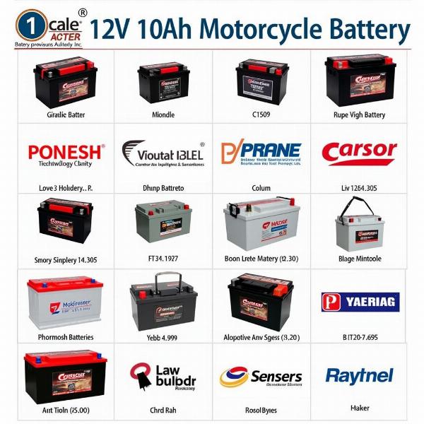 Différentes marques et modèles de batteries moto 12V 10Ah