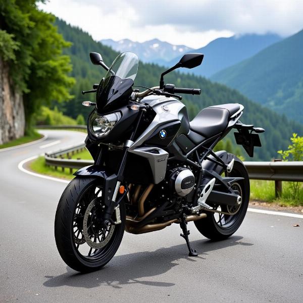 BMW F 800 R Roadster Dynamique