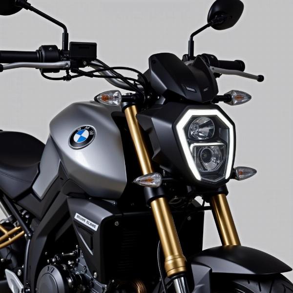 Design sportif et agressif de la BMW G 310 R