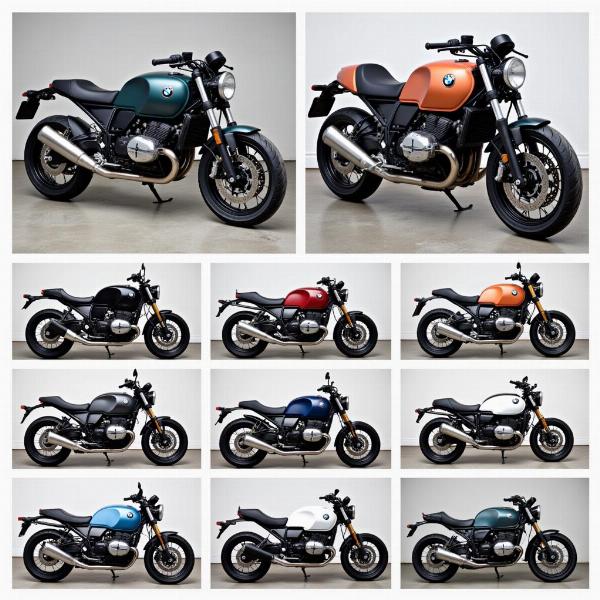 Exemples de Customisation de la BMW R nineT