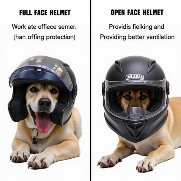 Types de casques moto pour chien