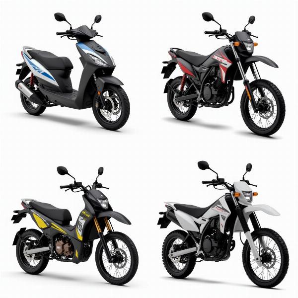 Catégories de motos électriques pour adultes