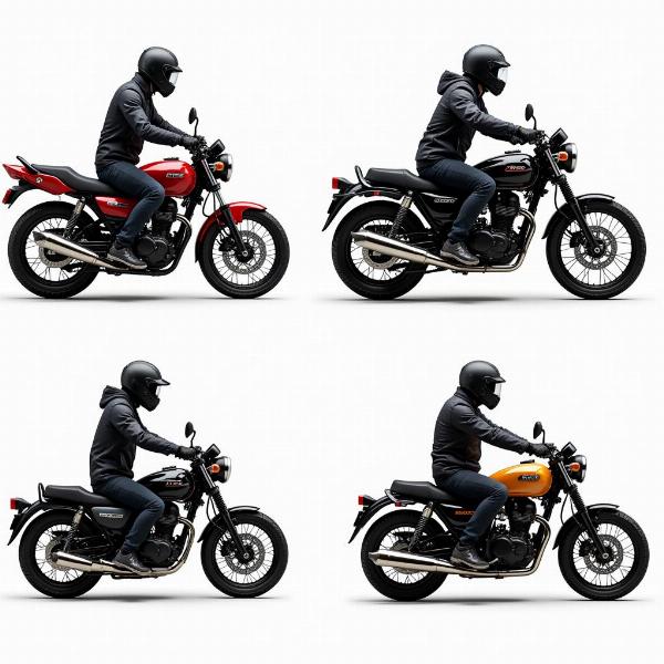 Différentes catégories de motos Le Fur : sportives, roadsters, trails et customs