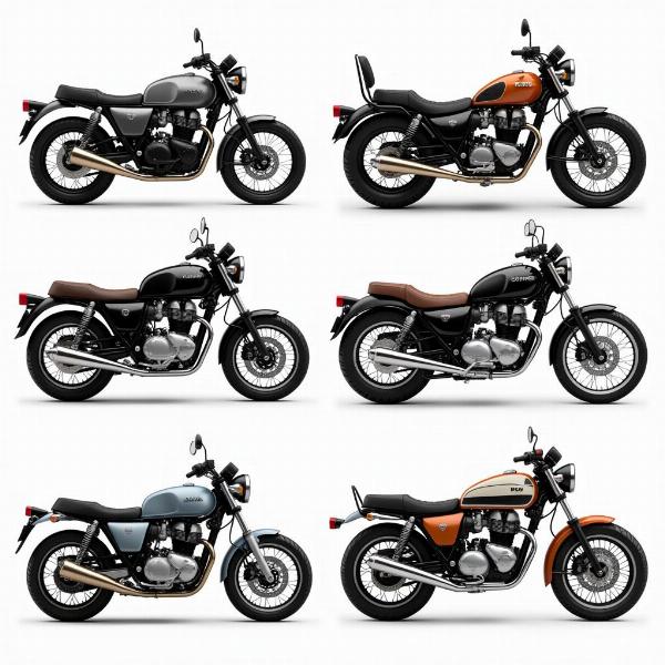 Différents types de motos pour Narcy Moto