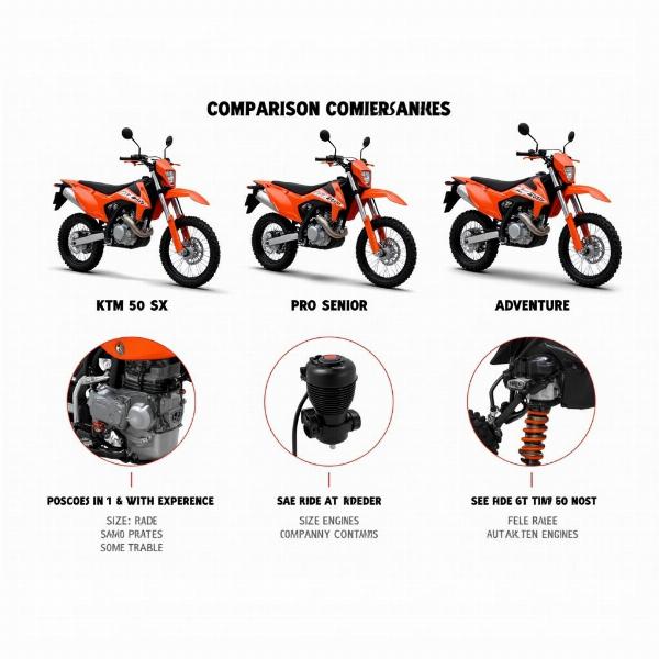 Comparaison des modèles KTM 50 SX, Pro Senior et Adventure