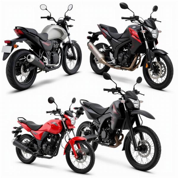 Comparatif des types de moto 125: Roadster, Sportive et Trail