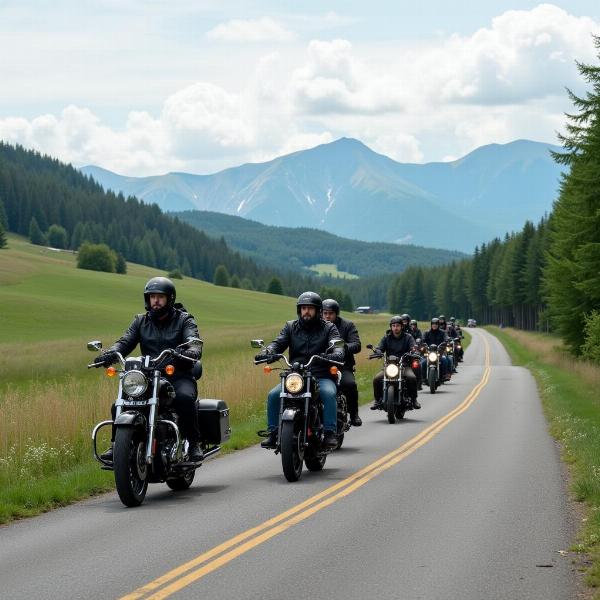 Culture Moto : Communauté et Motards