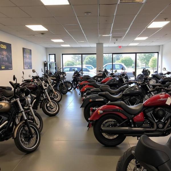 Intérieur du showroom Delta Moto Béziers