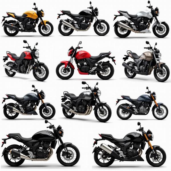 Différents types de motos