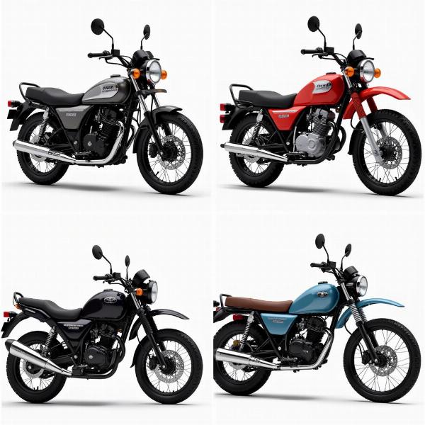 Différents types de motos 80cm3