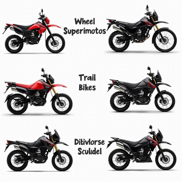 Différents types de motos à grosses roues