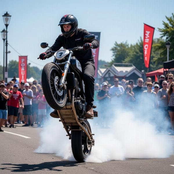 Spectacle de cascades à la Fête de la moto Bourbourg 2023