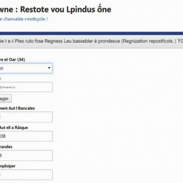 Étapes de la procédure d'immatriculation en ligne