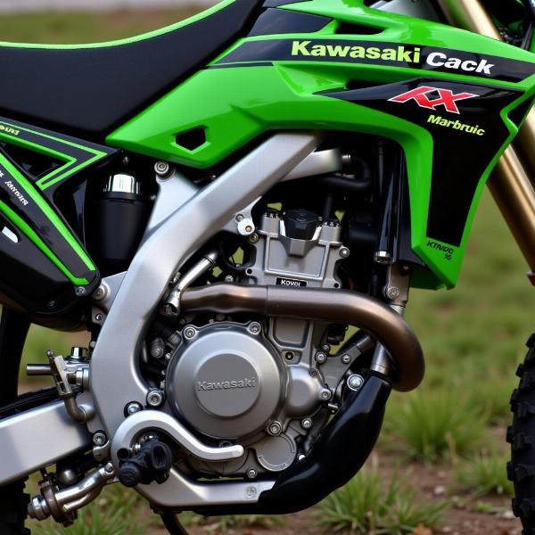 Détail du moteur Kawasaki KX450