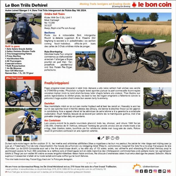 Analyser une annonce détaillée de moto trial d'occasion sur Le Bon Coin