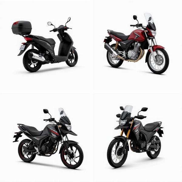 Types de motos à louer à Milan