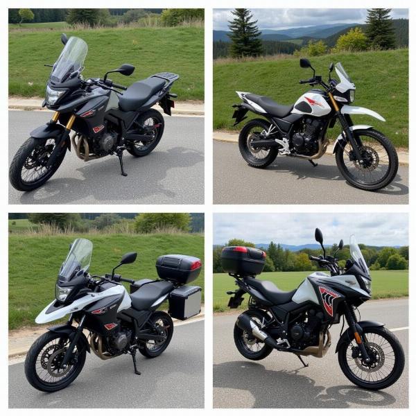 Différents types de motos à louer à Mulhouse