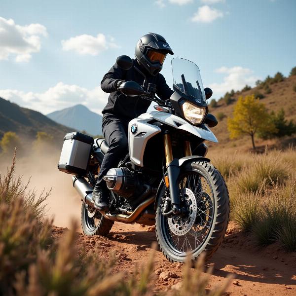 BMW R 1250 GS Adventure en tout-terrain