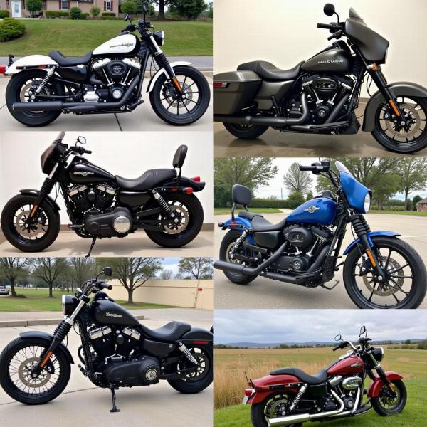 Différents modèles de Harley-Davidson