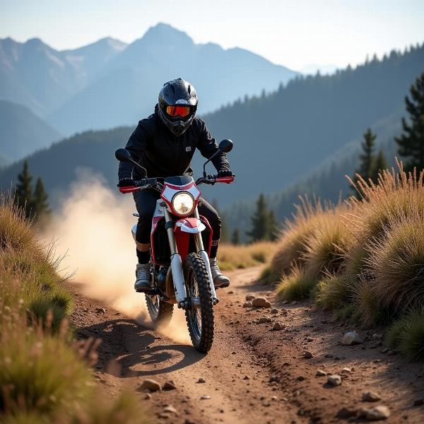 Moto 125 enduro conquérant un chemin de montagne