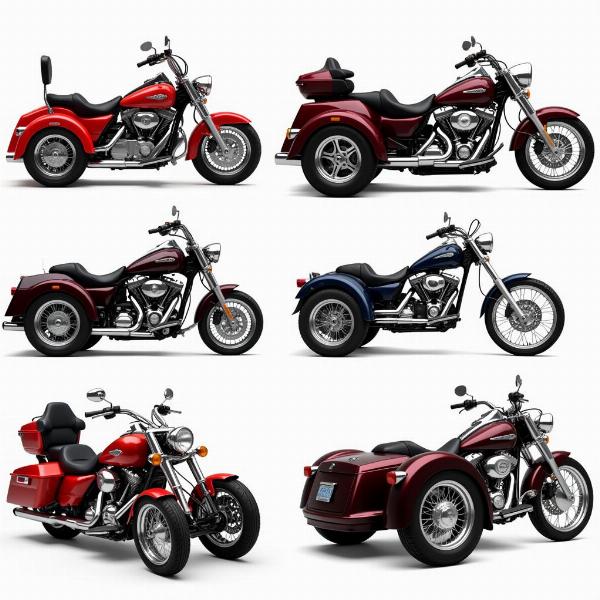 Différents modèles de motos 3 roues trike