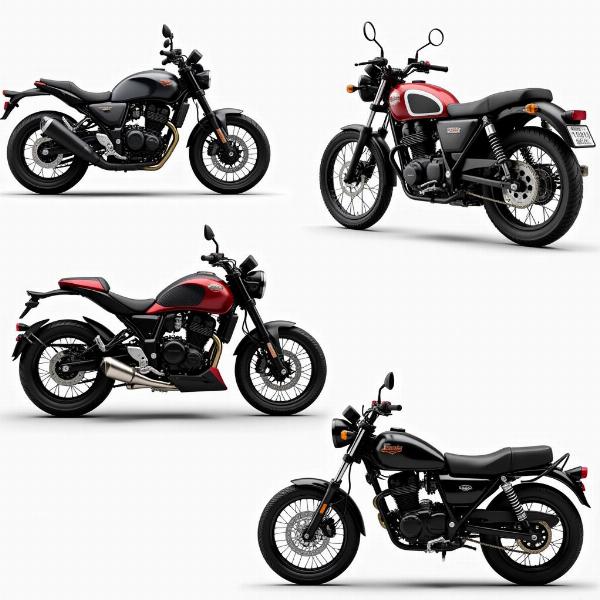 Différents types de motos basses : custom, roadster et trail