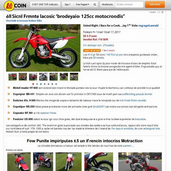 Moto cross 125 occasion sur Le Bon Coin: exemple d'annonce