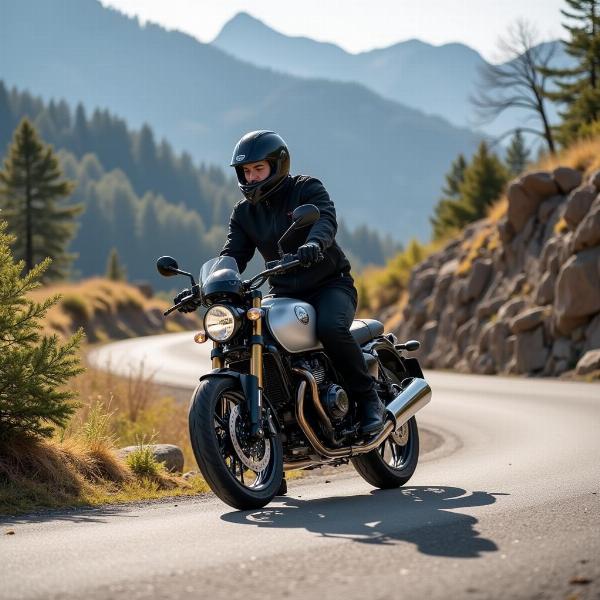 Moto Guzzi V7 Stone Corsa en action