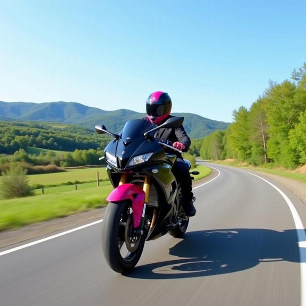 Moto noir et rose sur la route