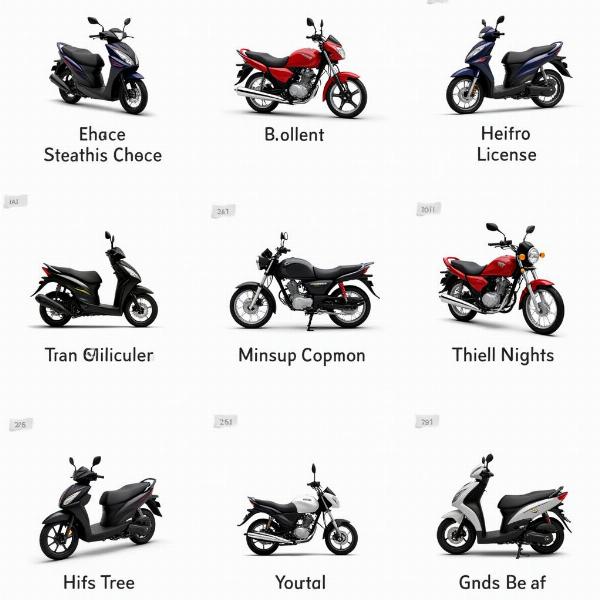 Modèles de motos pour permis boite auto