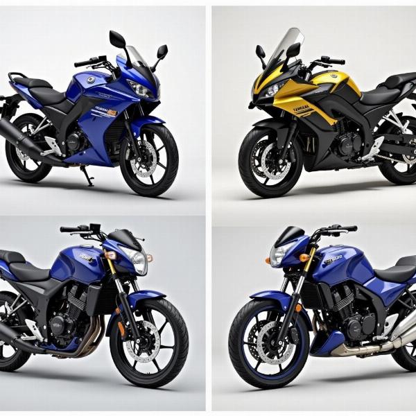 Comparaison entre une Yamaha 50cc sportive et roadster