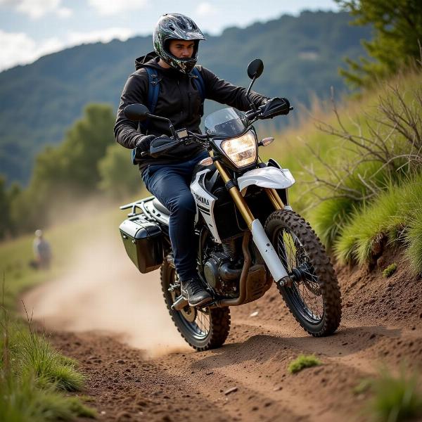 Yamaha Ténéré 700 en Auvergne hors-piste