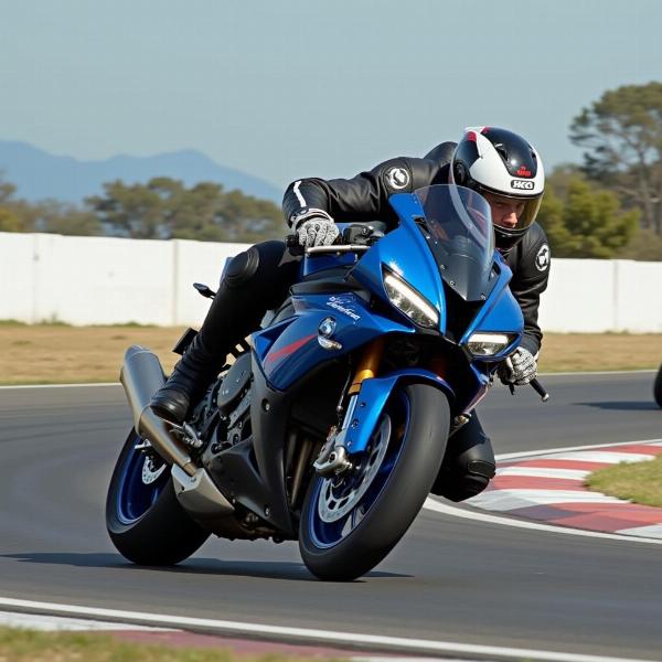 BMW S 1000 RR 2023 sur circuit