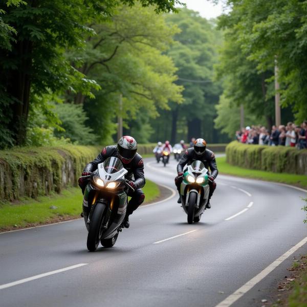 Tourist Trophy Île de Man : Une course moto légendaire