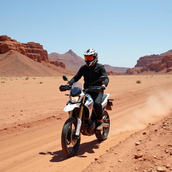 Aventure moto dans le désert des Bardenas Reales