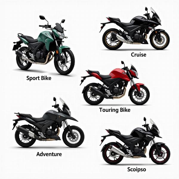 Différents types de motos