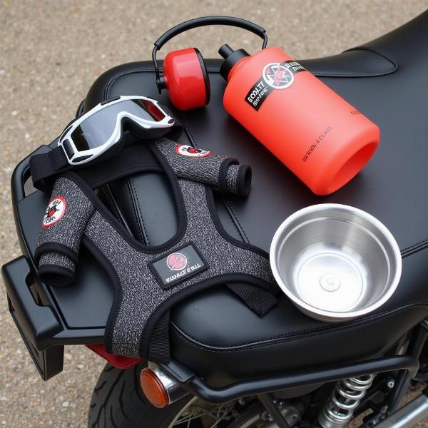 Equipement pour chien en moto