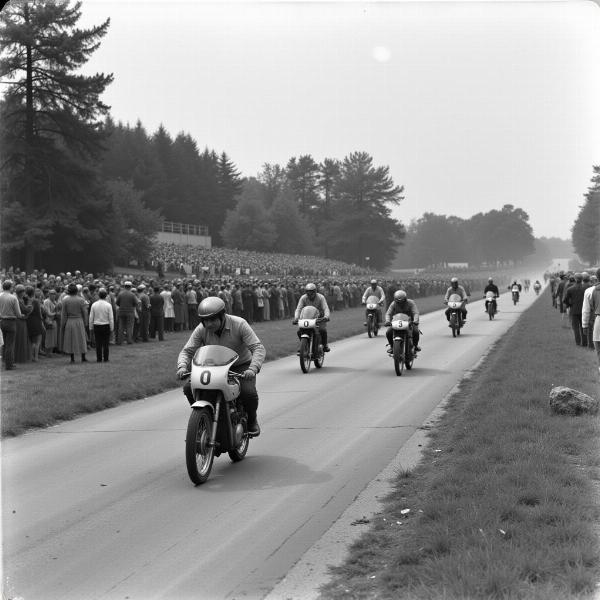 Histoire du Grand Prix France Moto