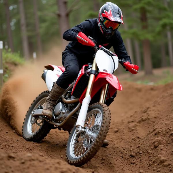 Honda CRF250R: Motocross polyvalente pour tous les terrains