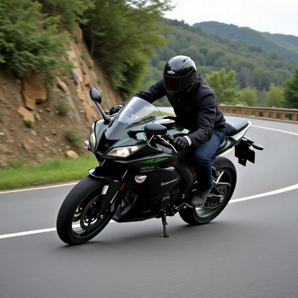 Kawasaki Ninja 650 en action sur route sinueuse