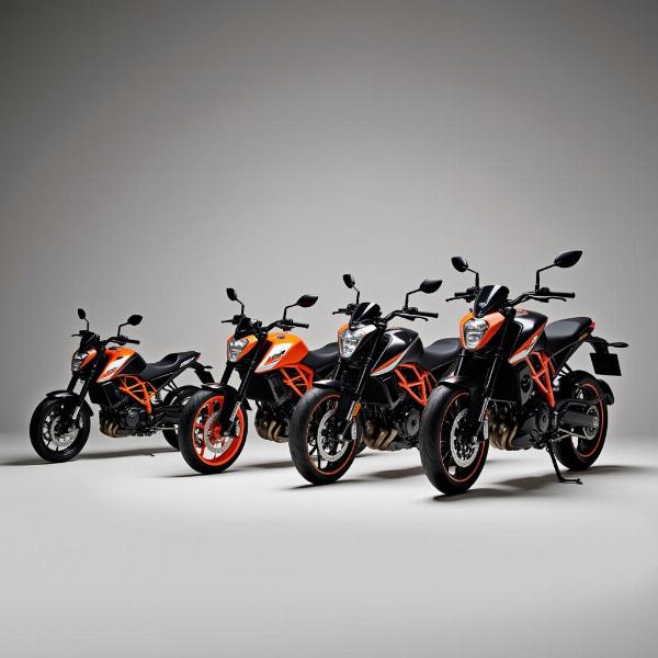 Gamme de modèles KTM Duke