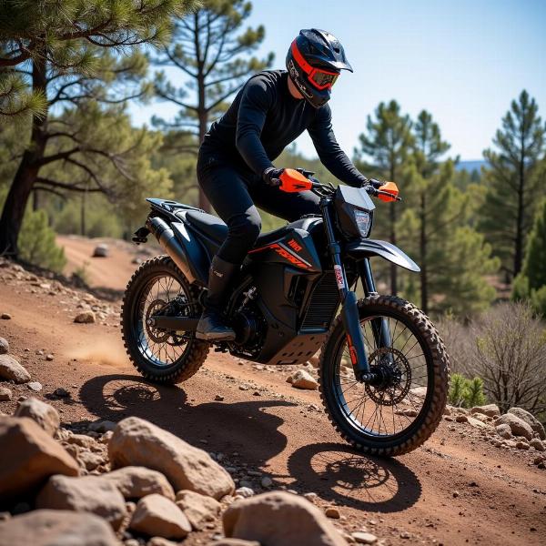 KTM Freeride E-XC en action