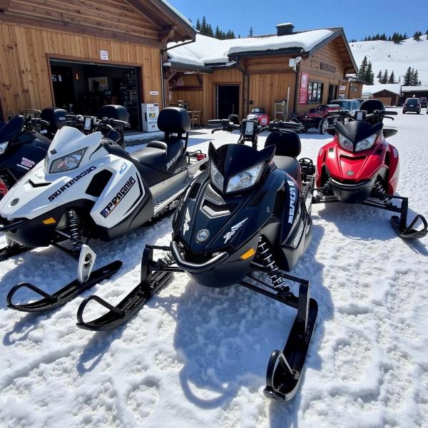 Location de Moto Neige à La Plagne - Comparer les Offres