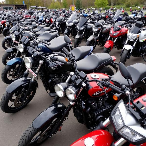 Marché moto occasion Belgique