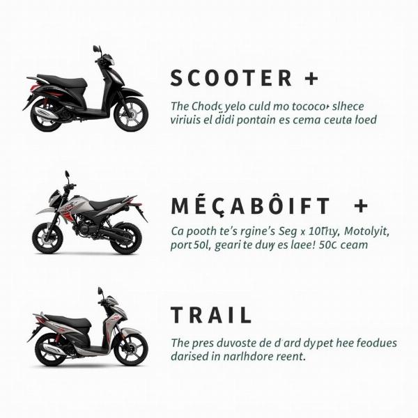 Différents types de motos 50cc: scooter, mécaboîte, et trail