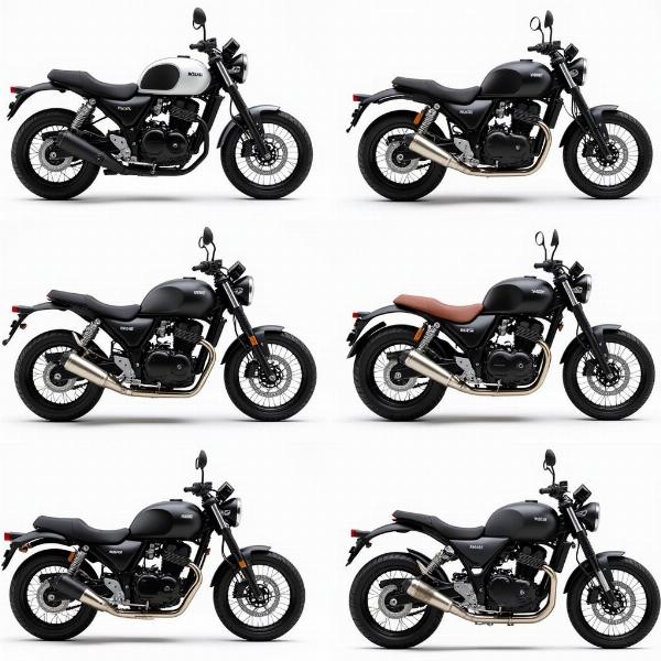 Modèles Neman Moto disponibles sur le marché français