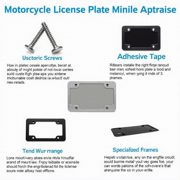 Options de Fixation pour Plaque Moto