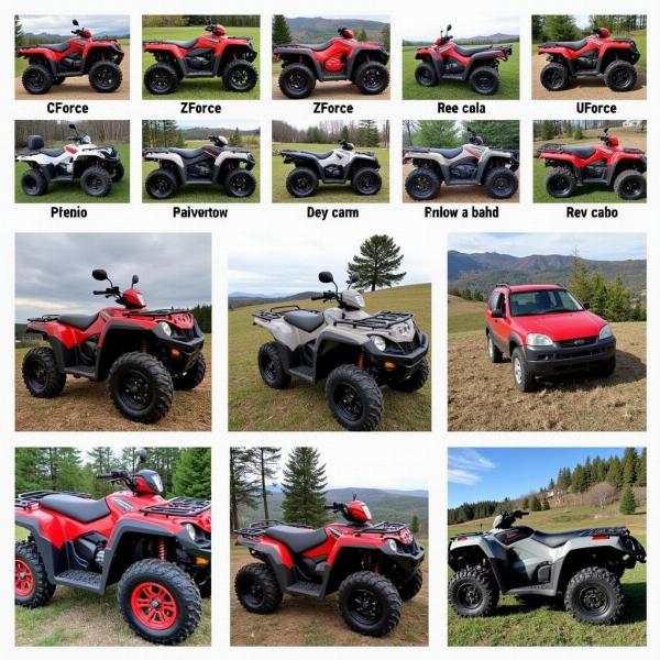 Différents modèles de quad CF Moto d'occasion